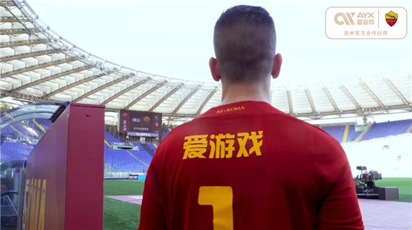 盗系统